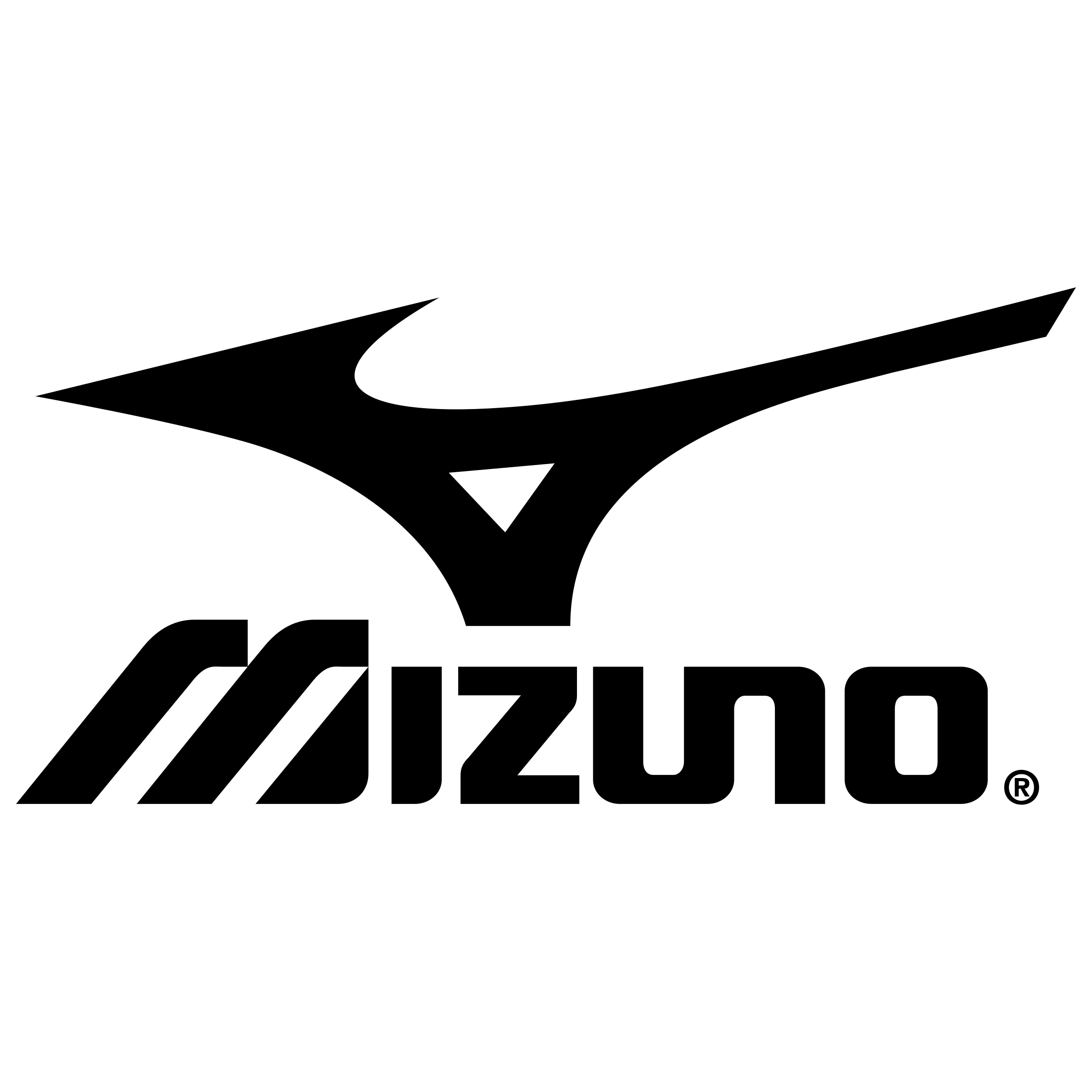 mizuno-thijssen sport